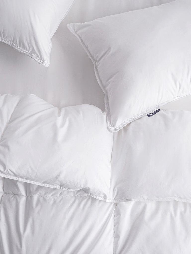 Comforters & Duvet Inserts