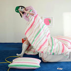 Cheerful Striped Duvet Cover